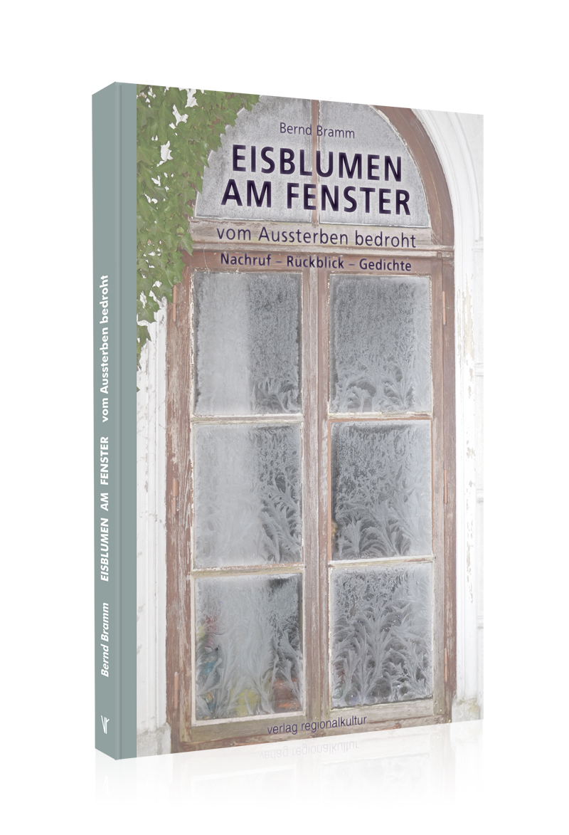 Eisblumen am Fenster Eisblumen am Fenster