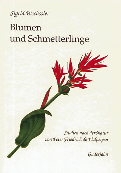 Blumen und Schmetterlinge Blumen und Schmetterlinge